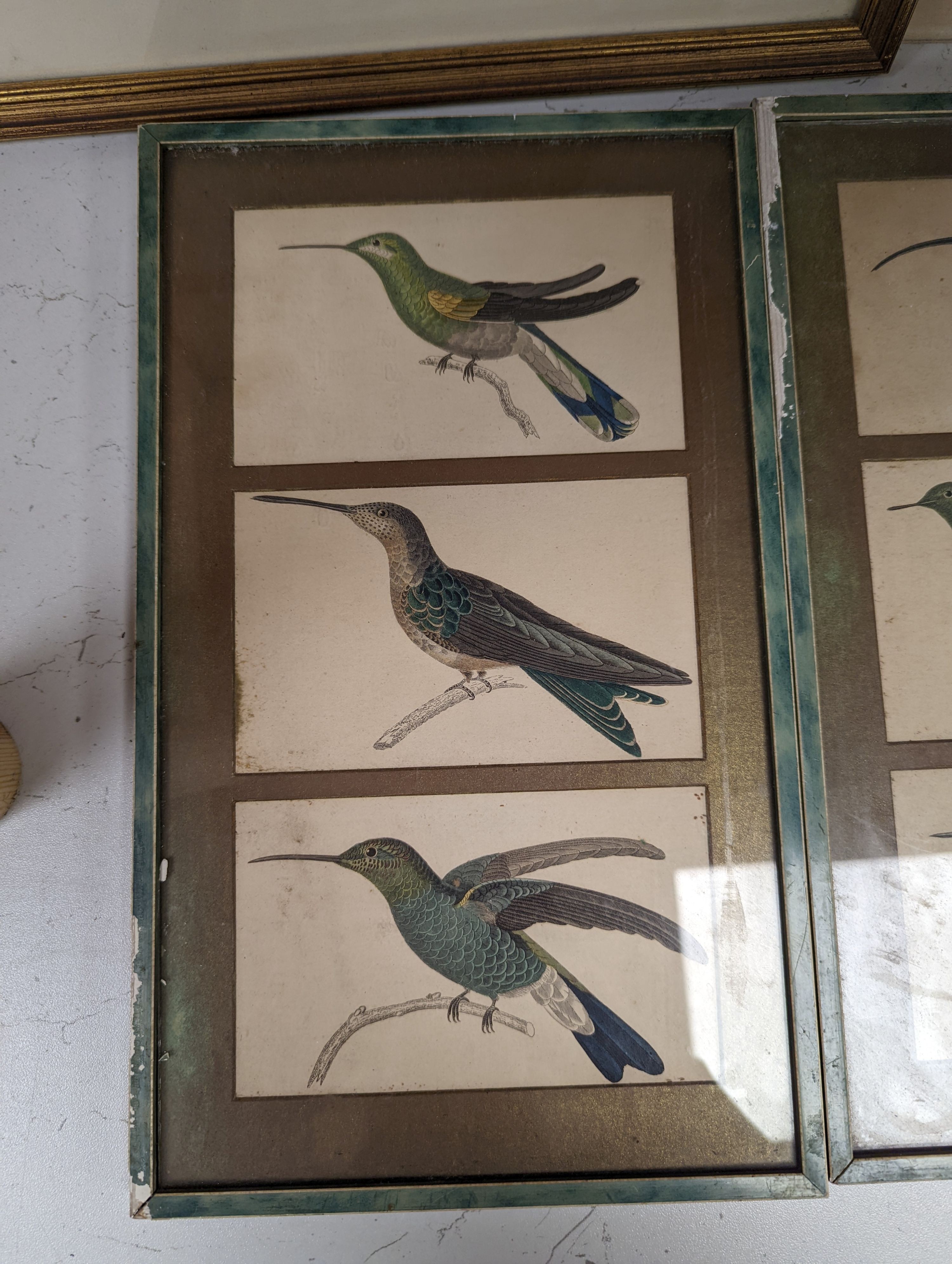 An early framed print, a Coromandel Coast print and two bird prints